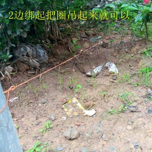 全套排竹鸡门套伴脚套绊地套工具鸟套鸽子