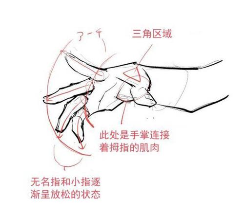 动漫人物的手怎么画?超简单的手部各种姿势画法!