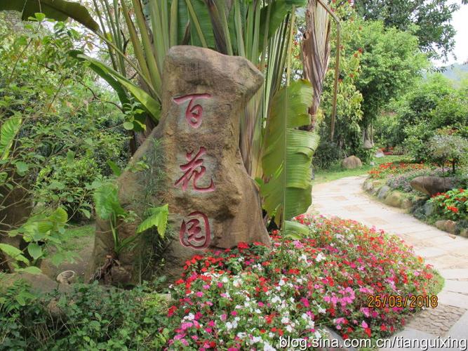 东南花都现代农业博览会