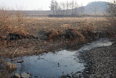 长长的小河像什么