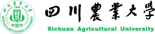 四川农业大学-运动场地坪-硅pu球场