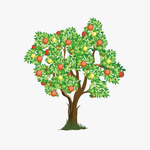 专家总结的13条果树管理秘诀!超级实用