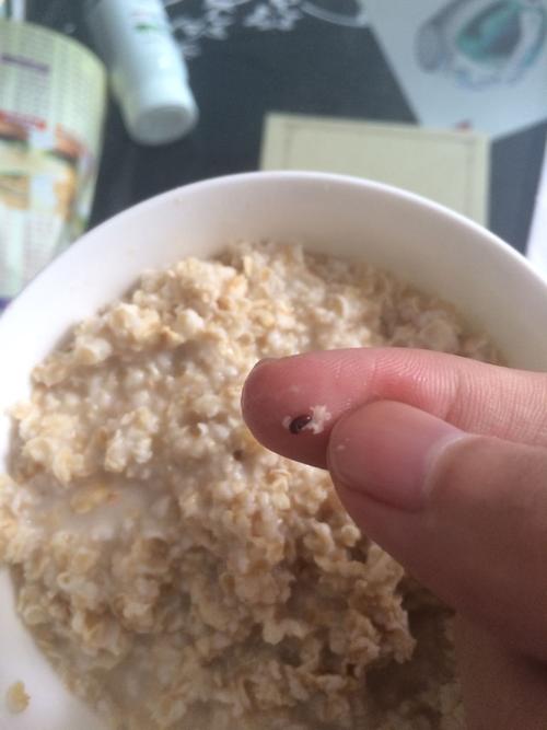 麦片放久了好多这样的虫,这是什么虫?