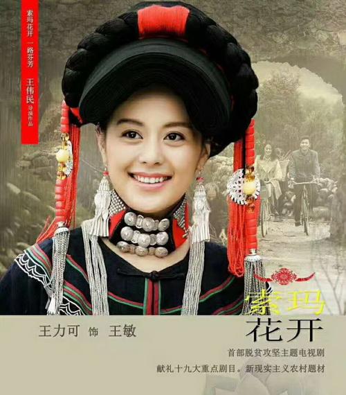 2017年电视剧索玛花开全部演员表图片与片花