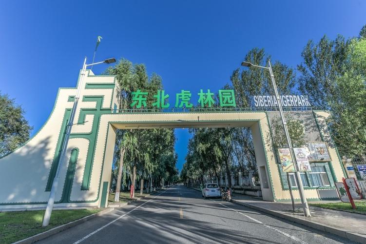 哈尔滨东北虎林园:以拯救濒临虎种为目的,游客可近距离观赏