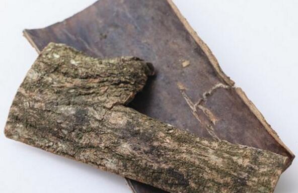 杜仲的功效与作用