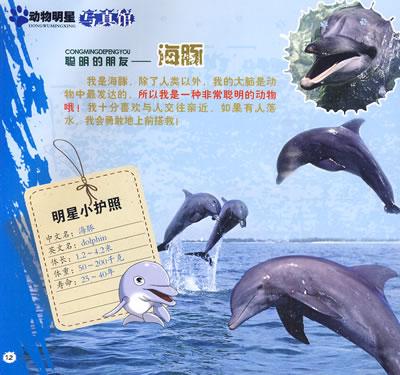 (动物明星写真馆)海底的精灵