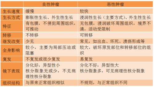 良性肿瘤和恶性肿瘤的区别