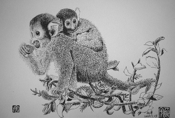 我的钢笔画:猴年画猴