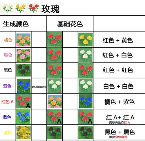 动物森友会稀有花卉杂交攻略