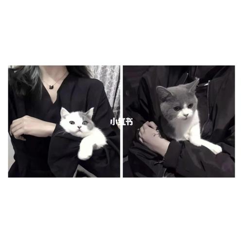 情侣头像|抱猫猫的情侣头像_情侣头像_猫咪_头像_头像