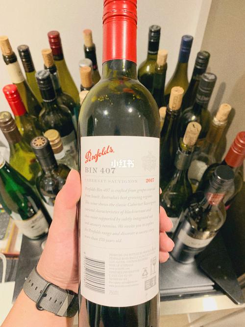 31 澳大利亚最富盛名的酒庄 奔富407_葡萄酒_酒杯