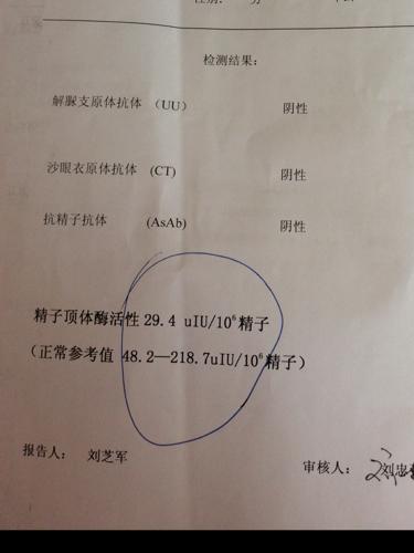 请懂得的帮忙看一下这些男性检查的指标是不是会导致不孕?