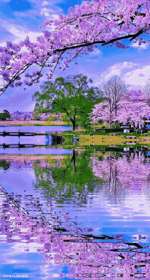 美言美景