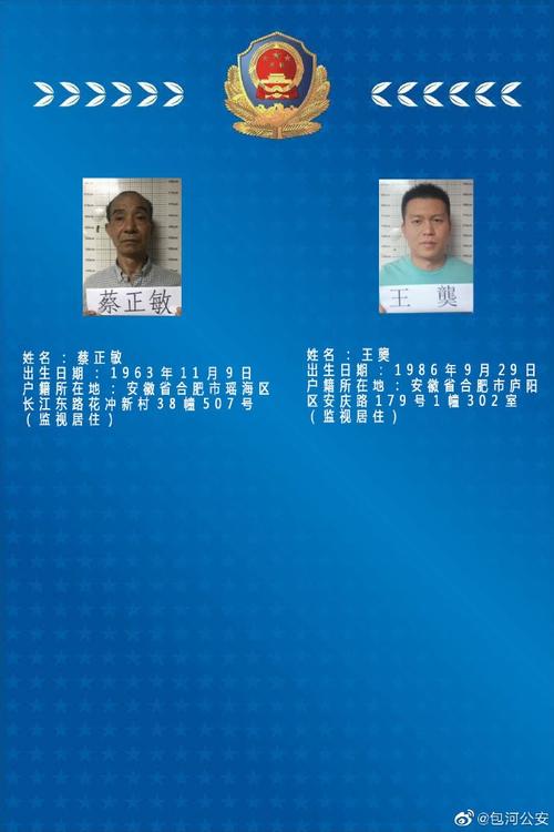 合肥这个犯罪团伙被团灭警方悬赏十万元征集犯罪线索