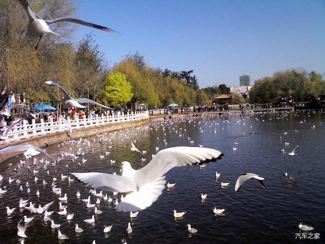 耀世来袭#翠湖公园