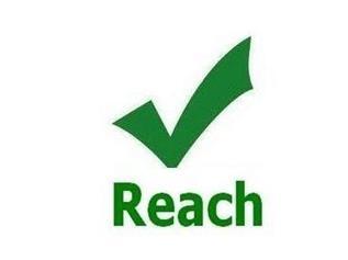 reach检测新181项