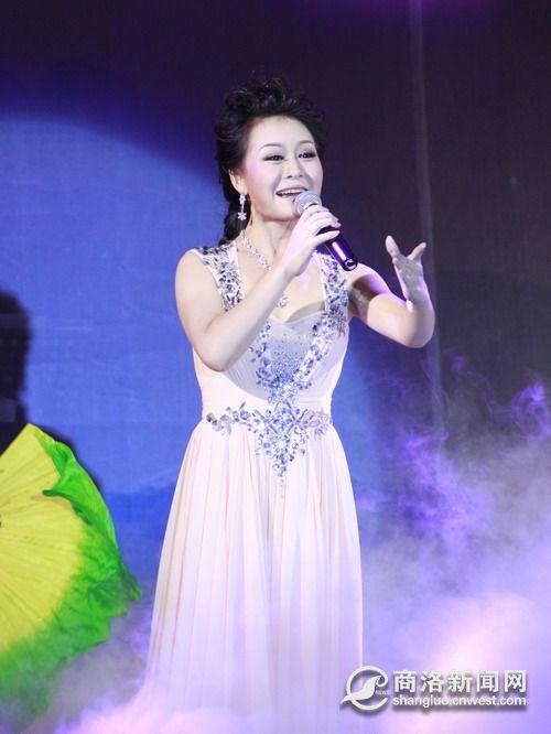 商洛市剧团优秀青年演员李淼个人演唱会