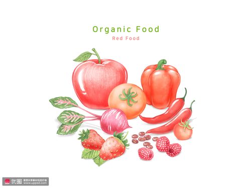 蔬菜水果苹果草莓萝卜淡彩手绘水彩插画psd