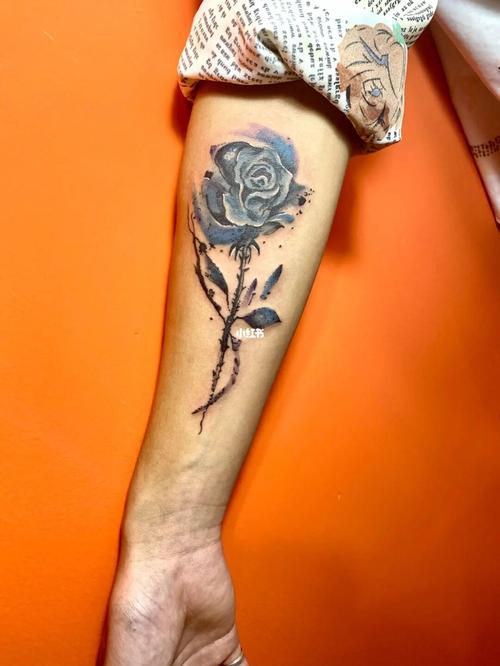 玫瑰花纹身 写生纹身_纹身_玫瑰花_写生_梵刺青tattoo