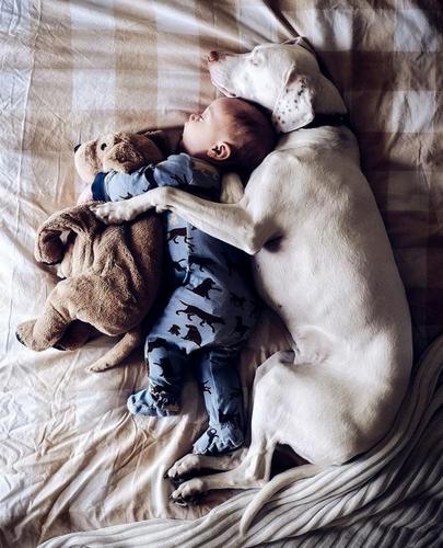 照片中,伊丽莎白给自己的宝宝和收养的狗狗布置了不同的背景,并打扮成