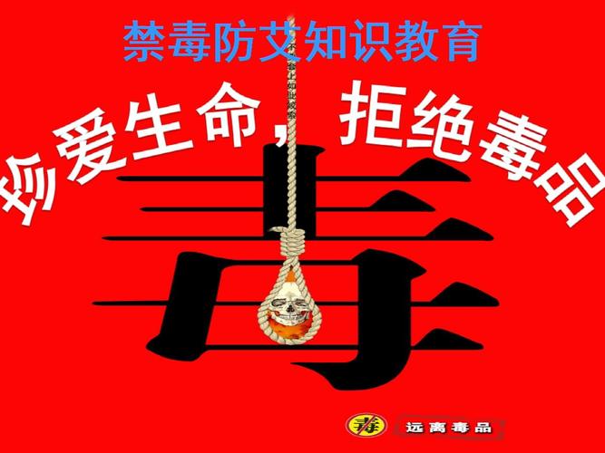 学校禁毒防艾讲座.ppt 29页