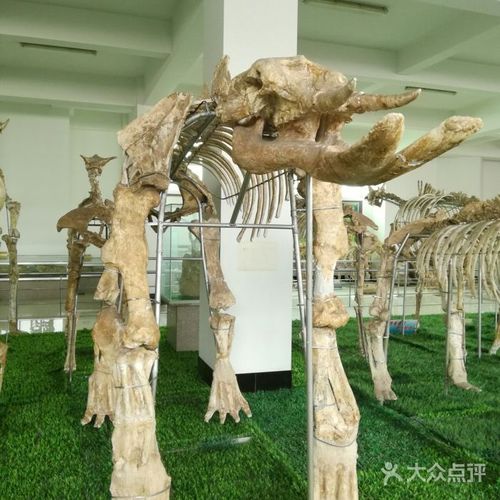 天宇自然博物馆
