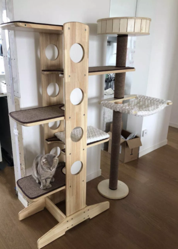 处女座屋主改造后的家,给猫咪设计了一间玩具房!