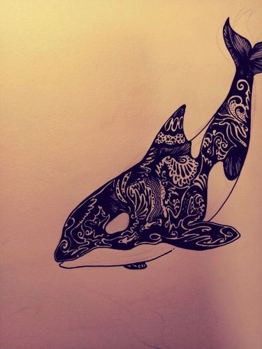 鲸鱼 手绘 线描