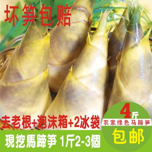 新鲜绿竹笋小笋马蹄笋脆嫩甘甜现挖夏季笋沙拉笋蔬菜水果笋4斤装