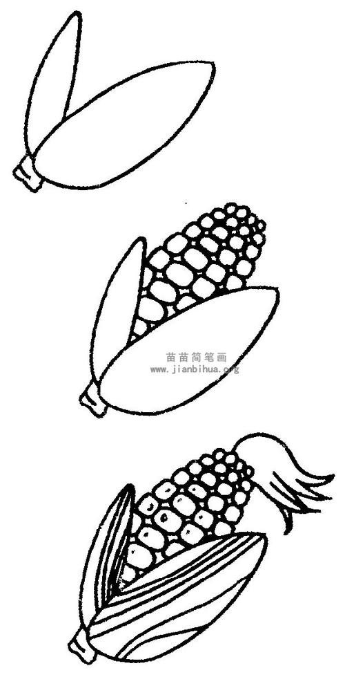 玉米简笔画图片与知识-儿童简笔画大全