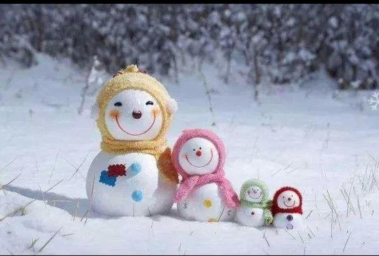 雪天是孩子们的童话,雪人是孩子们的精灵.