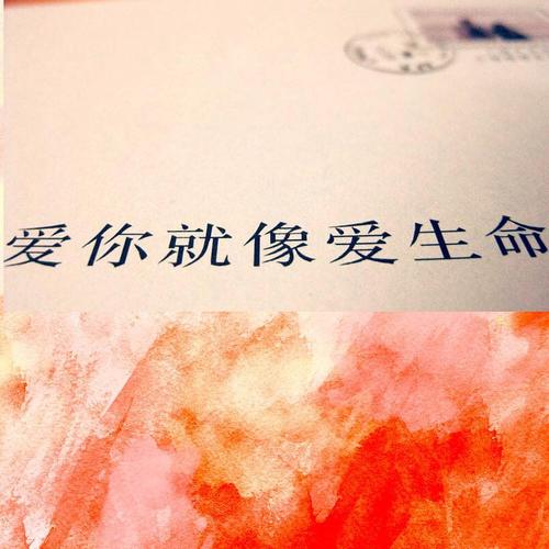 爱你就像爱生命——王小波