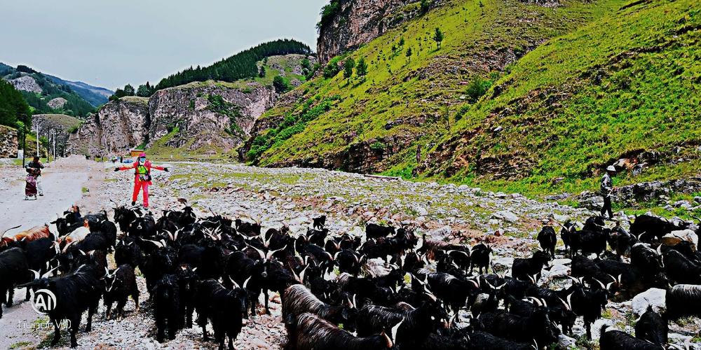 13驴行沁河源头@花坡 写美篇   沁河源头位于沁源县王陶乡河底村一条