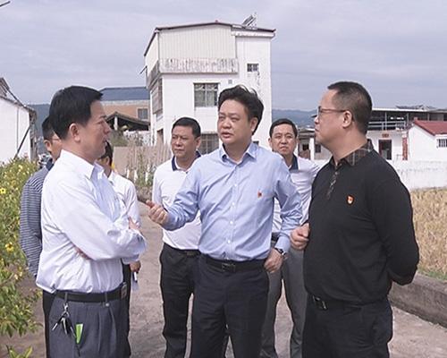 陈伟明实施三强四带工程推动乡村振兴发展