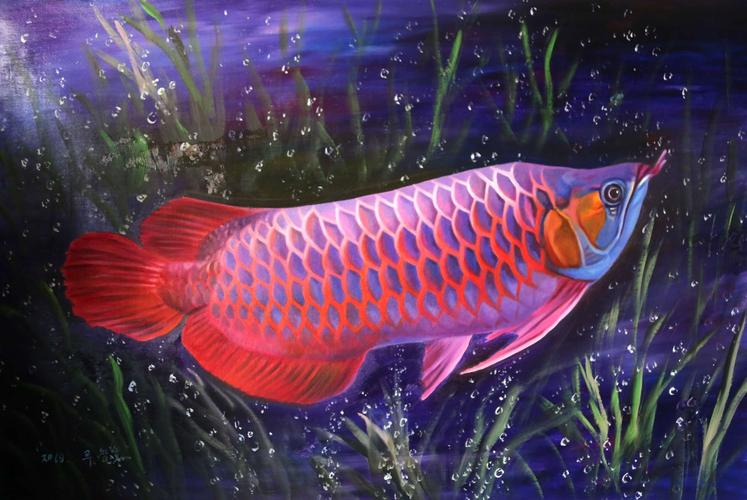 980元,刘昌浩4,金龙鱼,2019,长90宽60