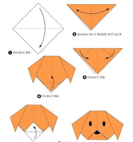 幼儿园中班折纸教程