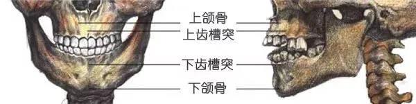 209美术:素描头像五官中嘴巴怎么画好