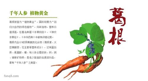 葛根粉的作用与功效