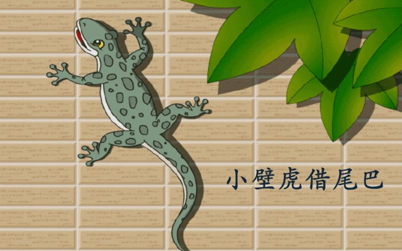 小壁虎借尾巴 课件