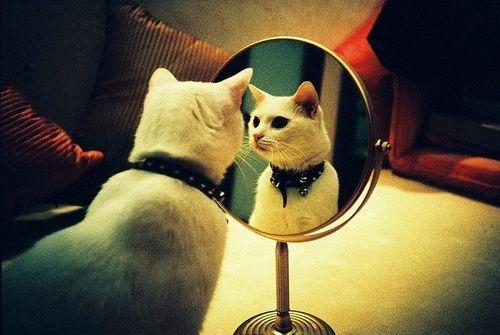 镜子防雾膜 小心镜子的的你