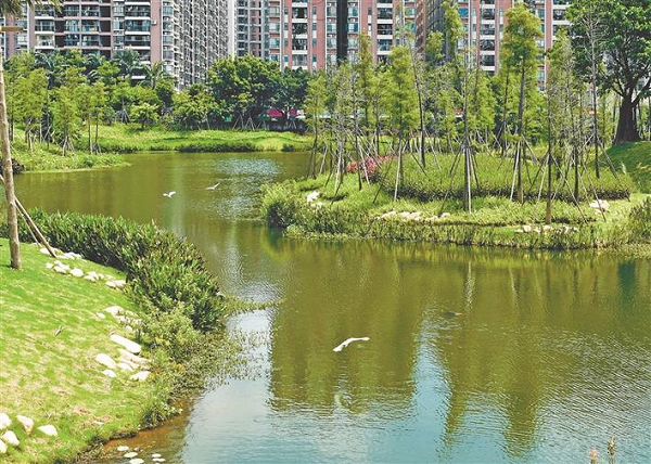万丰湖湿地公园的"靓影",其实现了防洪,景观,人文的深度融合,为市民