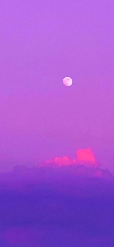 背景图篇 紫色系的背景图来啦