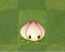 植物大战僵尸2:奇妙时空之旅