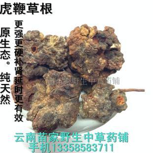 虎鞭草 根云南苗家腾冲特产中草药 中药材 泡酒料 药酒料胜牛鞭