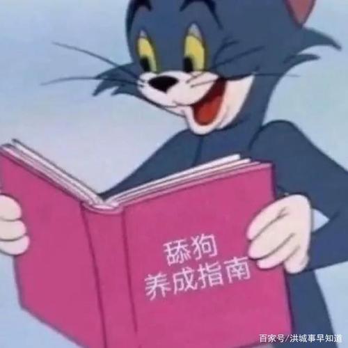 舔狗的快乐你根本想象不到