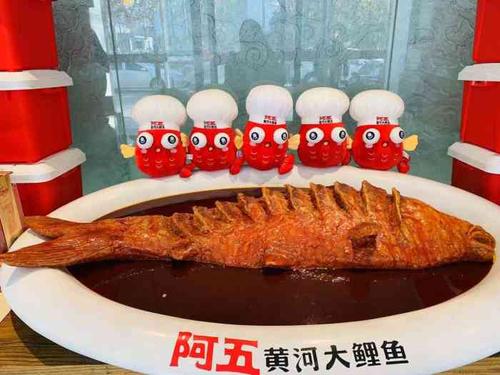阿五黄河大鲤鱼(英协路店)