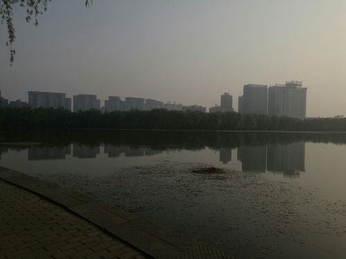 洛浦公园