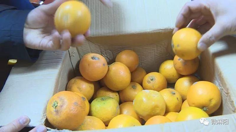 "郑先生介绍,他对麻阳冰糖橙的品质和口感一直有所耳闻,于是12月7日在