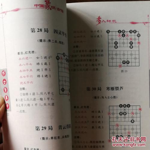 梦入神机:象棋颠峰